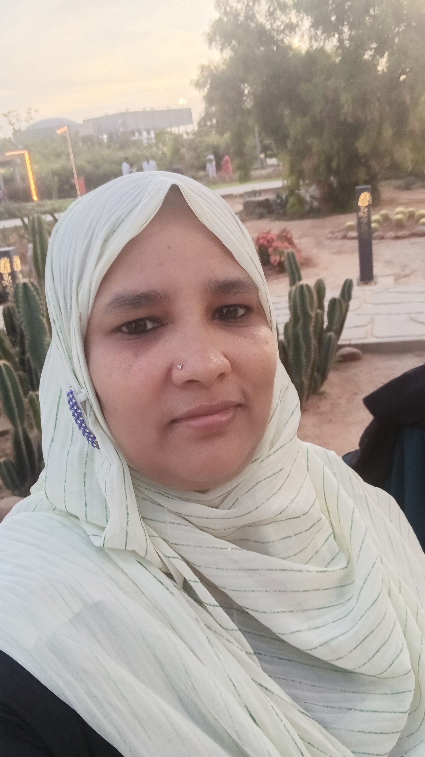 Teacher Profile